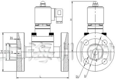 高壓法蘭電磁閥結(jié)構(gòu)圖