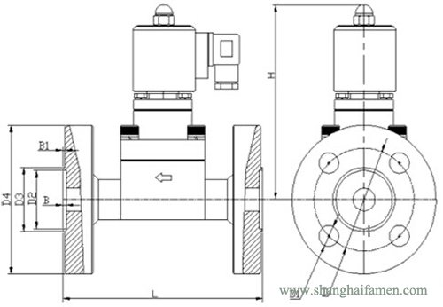 高壓法蘭電磁閥結(jié)構(gòu)圖